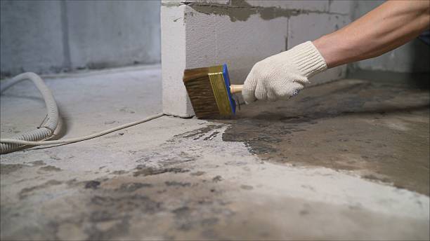 Top rated local Emergency Waterproofing specialists in Moss, TN